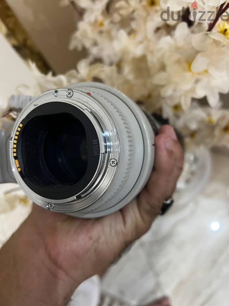 Canon 70/200 3