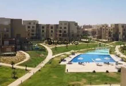 Apartment for rent in Palm parks