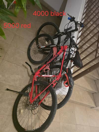 bike each 5000