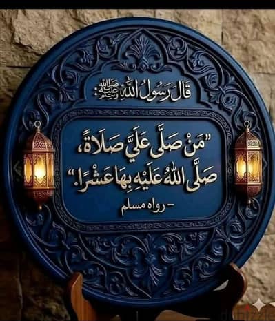 جوز حمام رومي بسم الله مشاء الله شغال ومعه حصوه للتصفيات