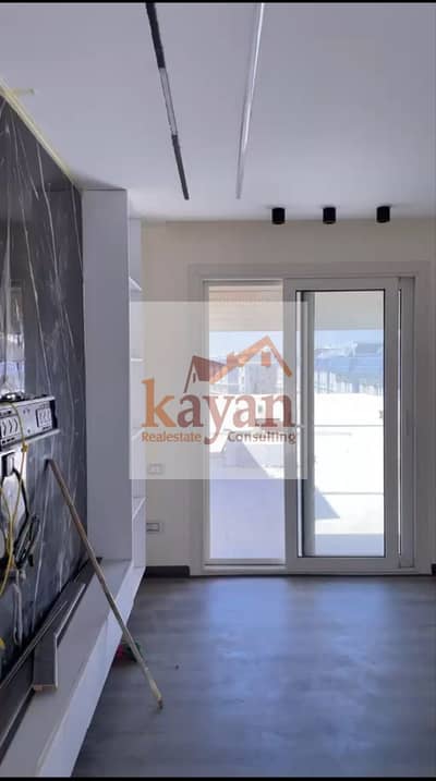 Penthouse for Rent in Mountain View Hyde Park | Private Rooftop