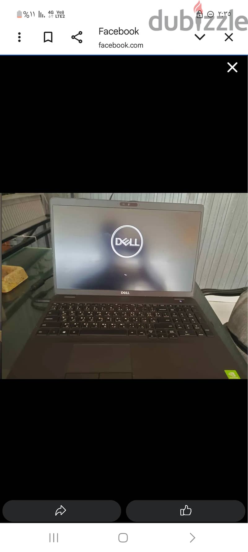 الميمون بنى سويف . 2