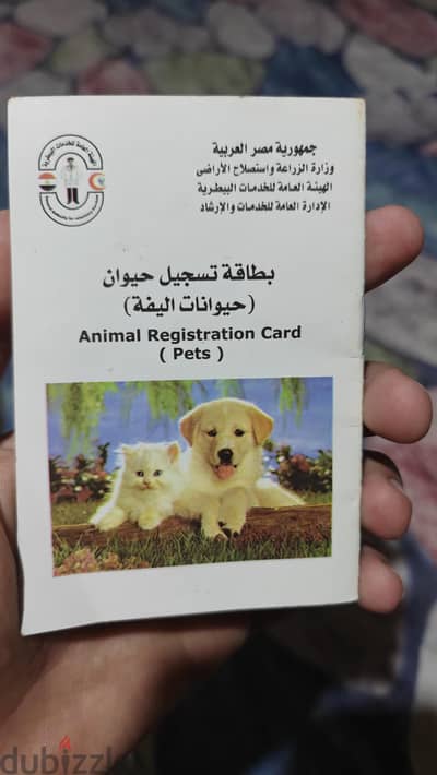 جيرمن شيبرد