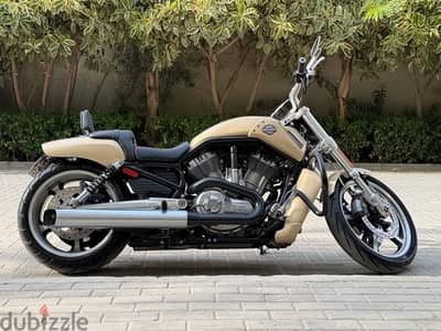 v-rod muscle