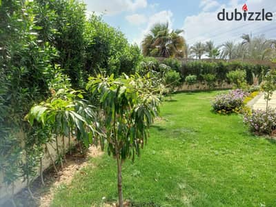 Twin House Villa for Sale in Al-Ashjar Neighborhood in Front of Dream Land