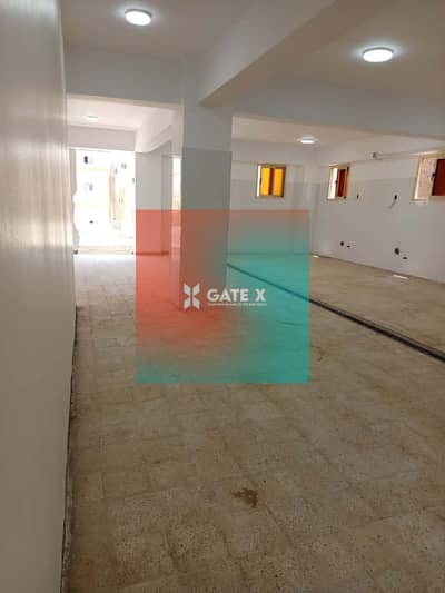 Factory for rent in the tenth of Ramadan Rabiky