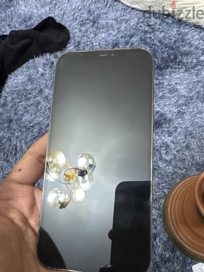 Apple - iPhone 12 Pro Max