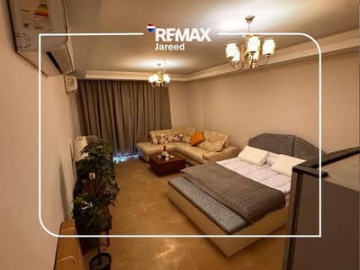 Fully Furnished Studio for Rent in ZED Towers, Sheikh Zayed | Park View