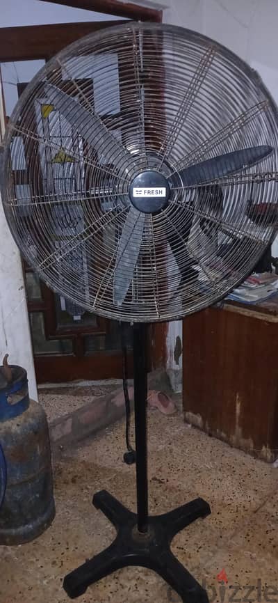 مروحه فريش كبيره