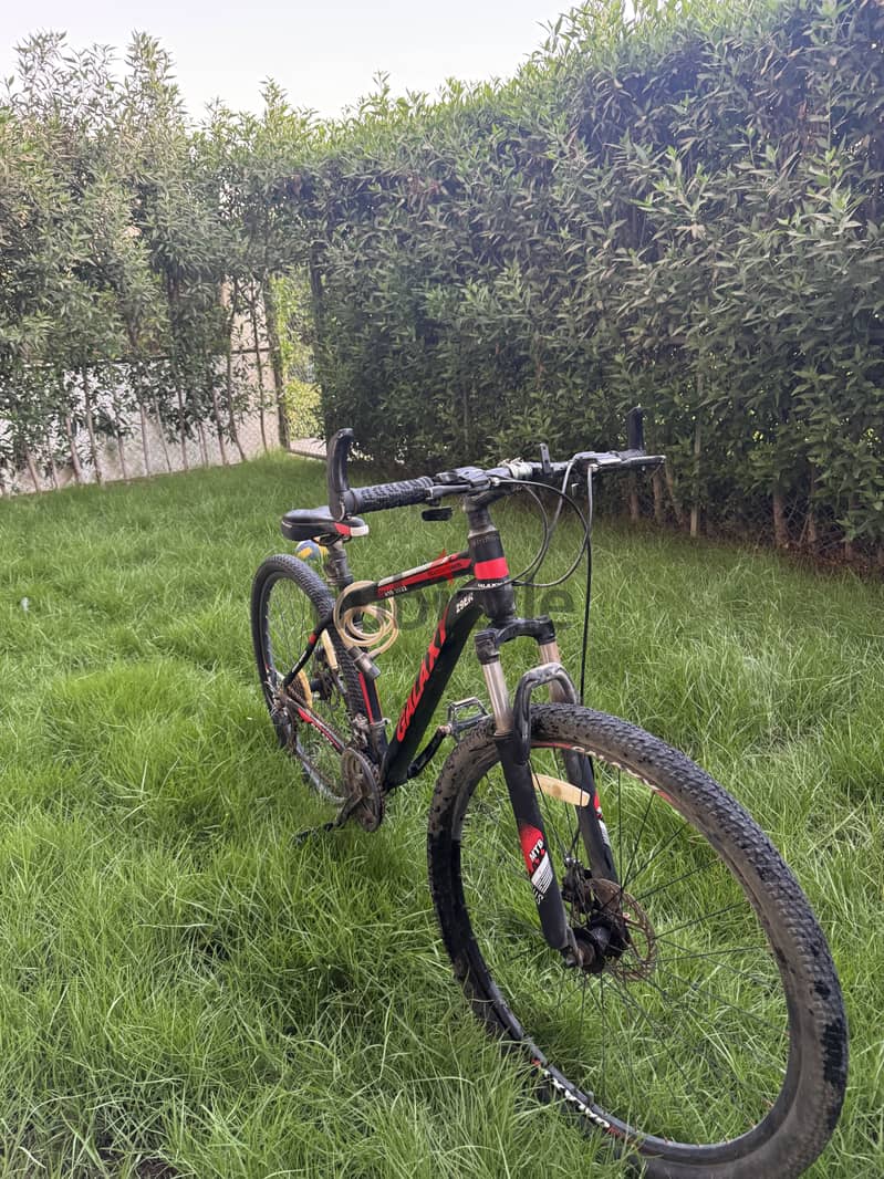 Galaxy 29ER 1