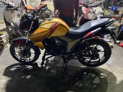 Hogan f 250 | هوجان اف 250