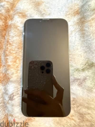 Apple - iPhone 13 Pro Max