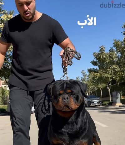 ابن ابطال عالم