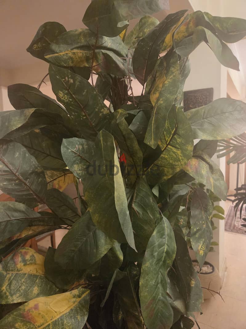 Artificial plant 1