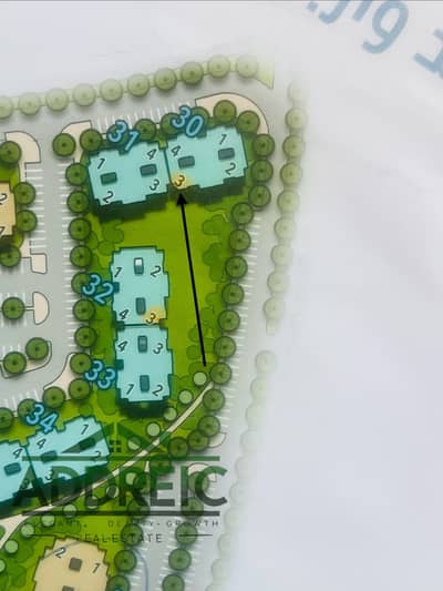 Exceptional Investment Opportunity: Group 141 - Long-term Payment Plan to 2035