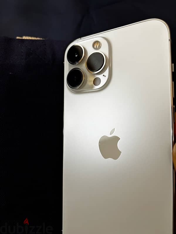 iPhone 13 Pro Max 1