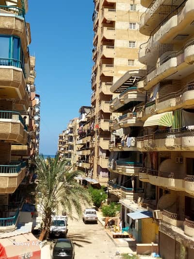 شقه في اسكندرية  العجمي شاطئ النخيل  خطوات قليلة من البحر وشارع الرئيسي موقع ممتاز جدا شامل الخدمات