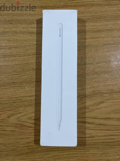 Apple Pencil Pro