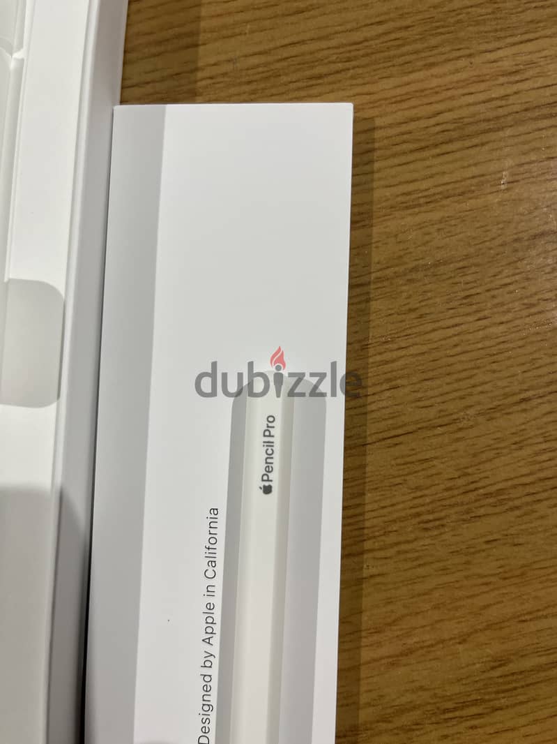 Apple Pencil Pro 4