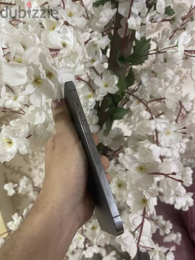 IPhone 12 Pro Max 256