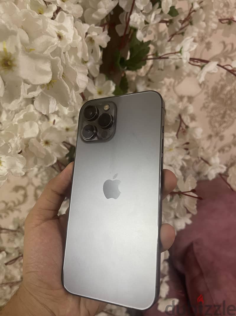 IPhone 12 Pro Max 256 1
