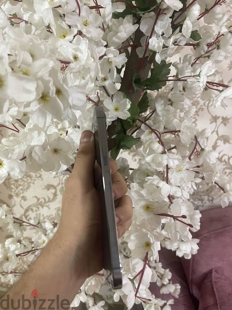 IPhone 12 Pro Max 256 2