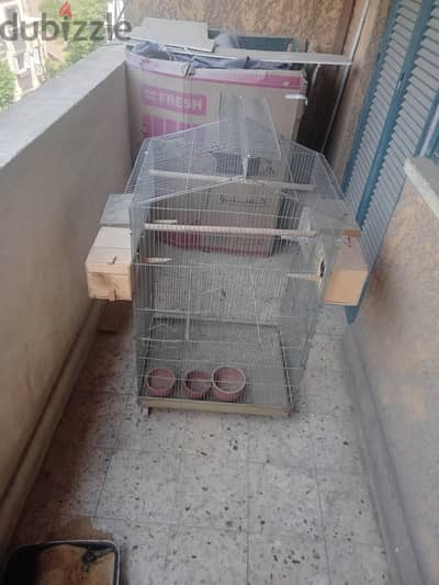 مطار تقفيل مكنة مش كلبسات