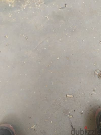 مكنة هوجن 3