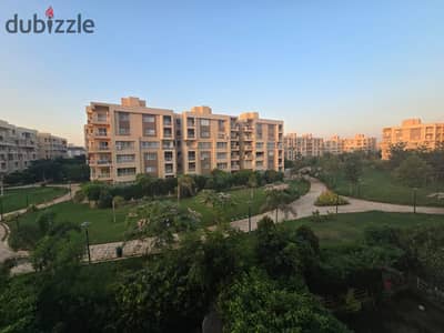Apartment for rent (legal) in my city