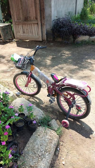 The Cheapest Beautiful Bike for your Child