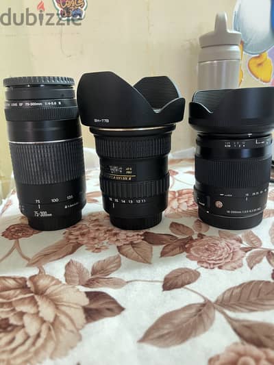Pack of lenses