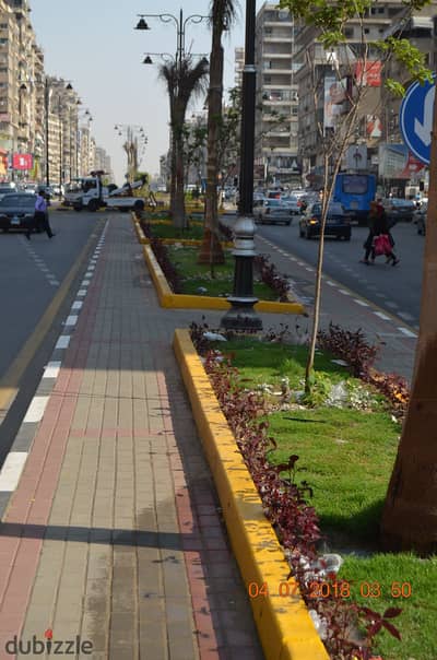 Apartment for Sale in Nasr City