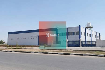 Factory for rent in the Tenth of Ramadan
