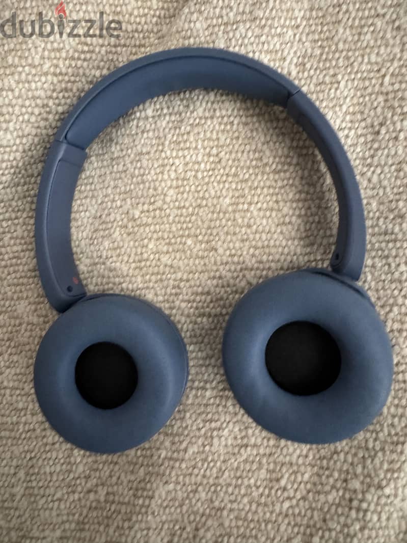 Sony WH-CH520 1