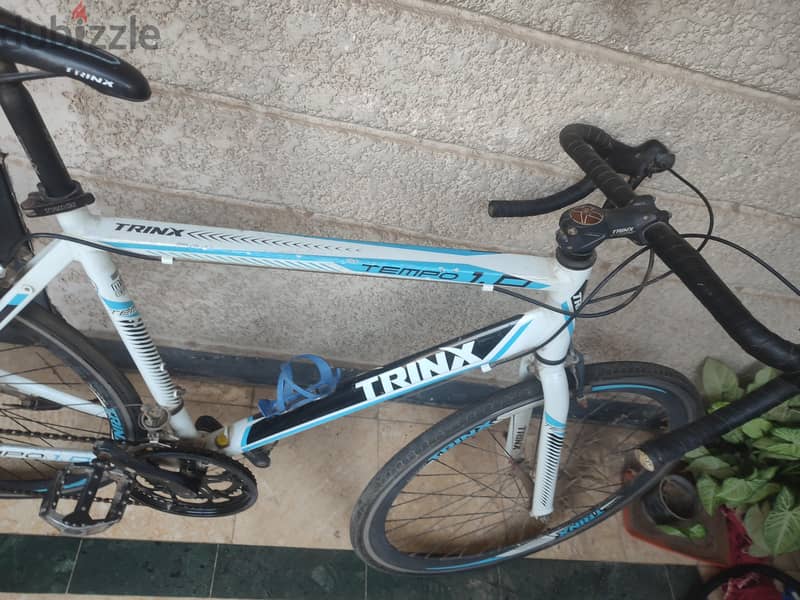 trinx tempo 1.0 4