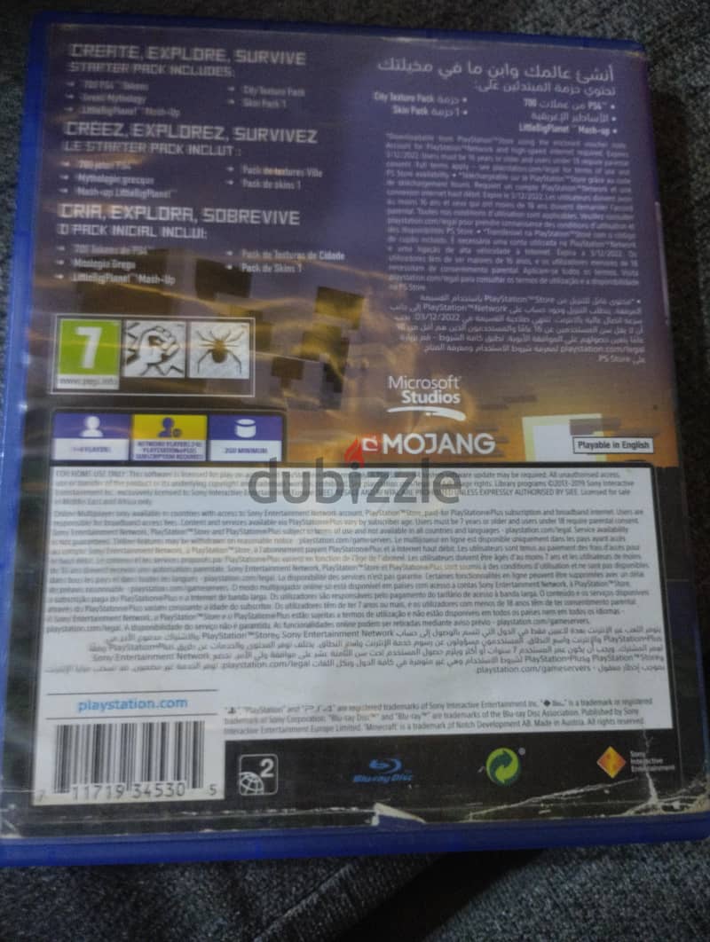 Minecraft PS4 1
