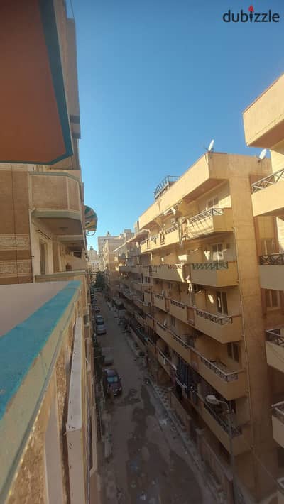 شقه للبيع بالإسكندرية العجمي شطي النخيل ٦اكتوبر الكيلو٢١ اسكندرية مطروح