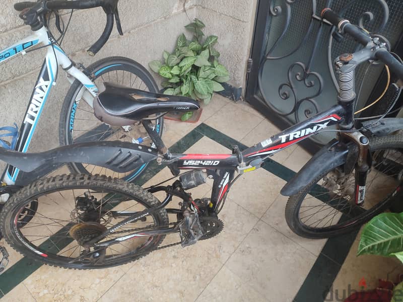 trinx ys24 2