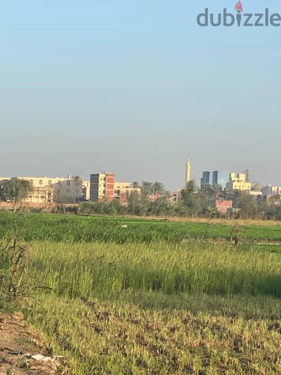 4 فدان ارض زراعية للبيع في ميت القرشي - مركز ميت غمر- الدقهلية