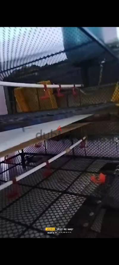 بطارية فراخ تسمين سير سبله