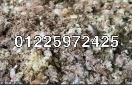 للبيع سبلة حمام زرق سماد طبيعي ممتاز للأرض الزراعية