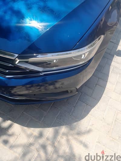 فنوس باسات شمال للبيع