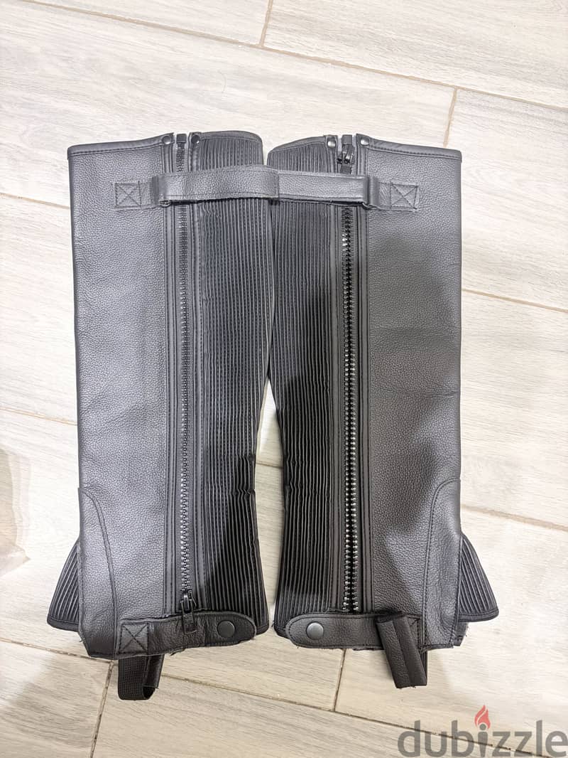 Half chaps activ 1