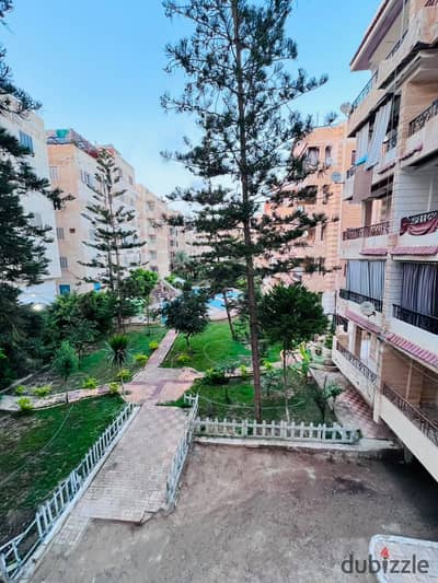 شقه للبيع بالإسكندرية العجمي شطي النخيل ٦اكتوبر الكيلو٢١ اسكندرية مطروح