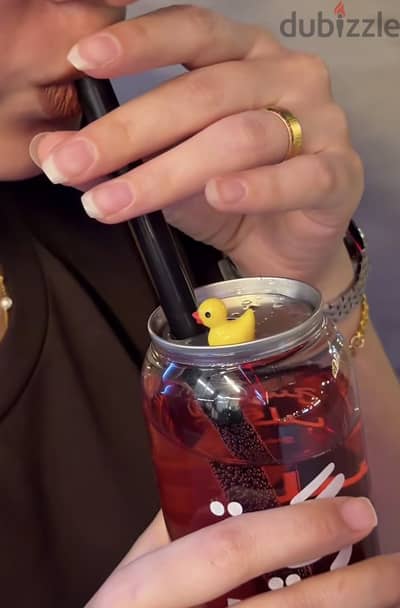 Duck trend