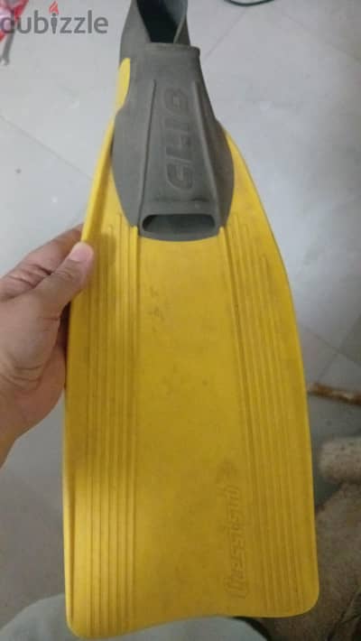 فردة زعانف كريسي