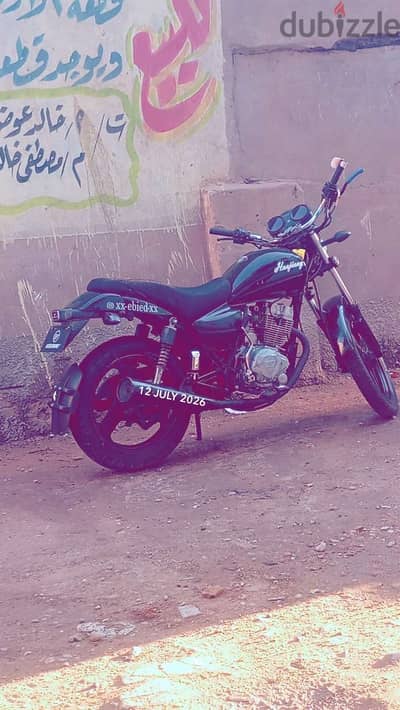 هوجان ٣ لوط