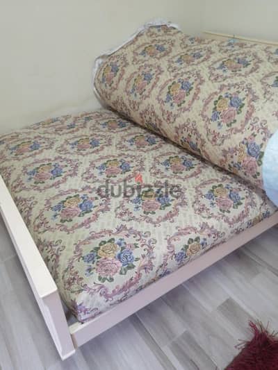 عدد ٦ مرتبه قطن