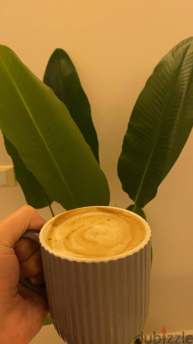 Delonghi Coffee machine 2