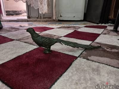 حمامه قديمه